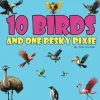 Shop All*10 Birds and One Pesky Pixie - Miniature Marvels: Airplane Models & Painted Dice