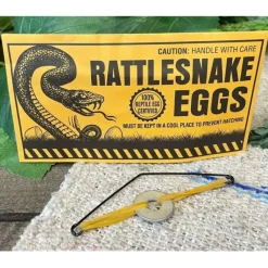Egpull<144 Prank Rattlesnake Egg Envelope - Novelty GaG Joke Gift Toy - Wholesale Lot - Miniature Marvels: Airplane Models & Painted Dice