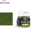 Paint<Abteilung 502: Pigments - Fresh Moss Green LTG AK-ABTP049 - Miniature Marvels: Airplane Models & Painted Dice
