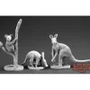 Miniature<Animal Companions III (Aardvark, Kangaroo, Koala): Dark Heaven Legends RPR 03589 - Miniature Marvels: Airplane Models & Painted Dice