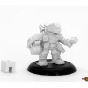Miniature<Argamite Explorer: Chronoscope Bones RPR 50346 - Miniature Marvels: Airplane Models & Painted Dice