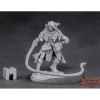 Miniature<Belthual, Elf Chronicler: Dark Heaven Legends RPR 03864 - Miniature Marvels: Airplane Models & Painted Dice