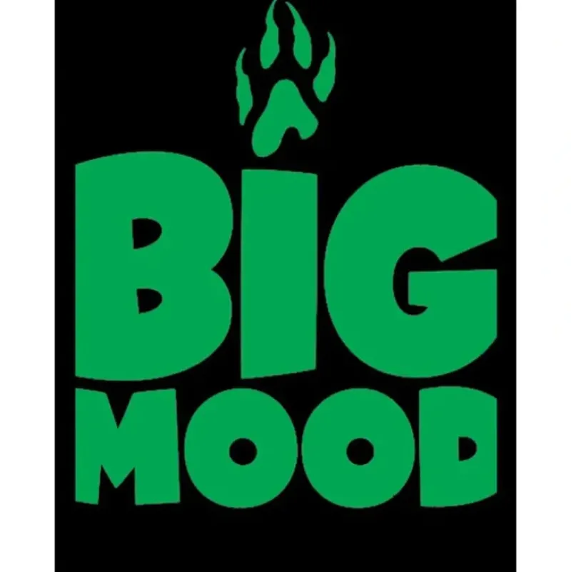 Shop All*Big Mood Sleeves LGN MAT110 - Miniature Marvels: Airplane Models & Painted Dice