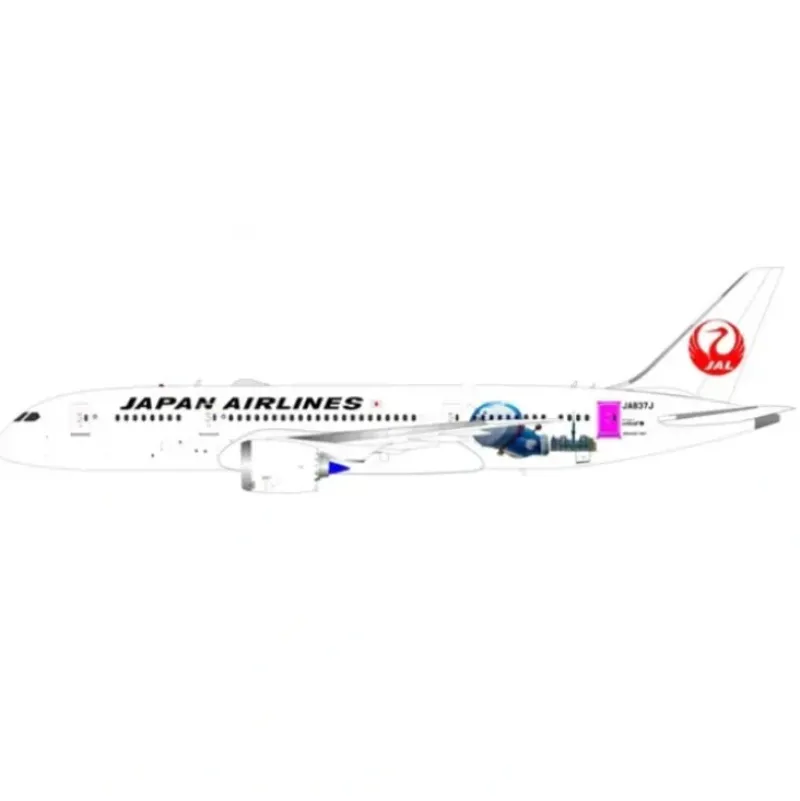 Airplane Model*B-Models B-787-837J 1:200 JAL Boeing 787-800 JA837J - Miniature Marvels: Airplane Models & Painted Dice