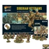 Shop All*Bolt Action - Soviet Union: Siberian Veterans Set + Digital Guide: Ostfront - Miniature Marvels: Airplane Models & Painted Dice