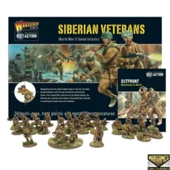 Shop All*Bolt Action - Soviet Union: Siberian Veterans Set + Digital Guide: Ostfront - Miniature Marvels: Airplane Models & Painted Dice