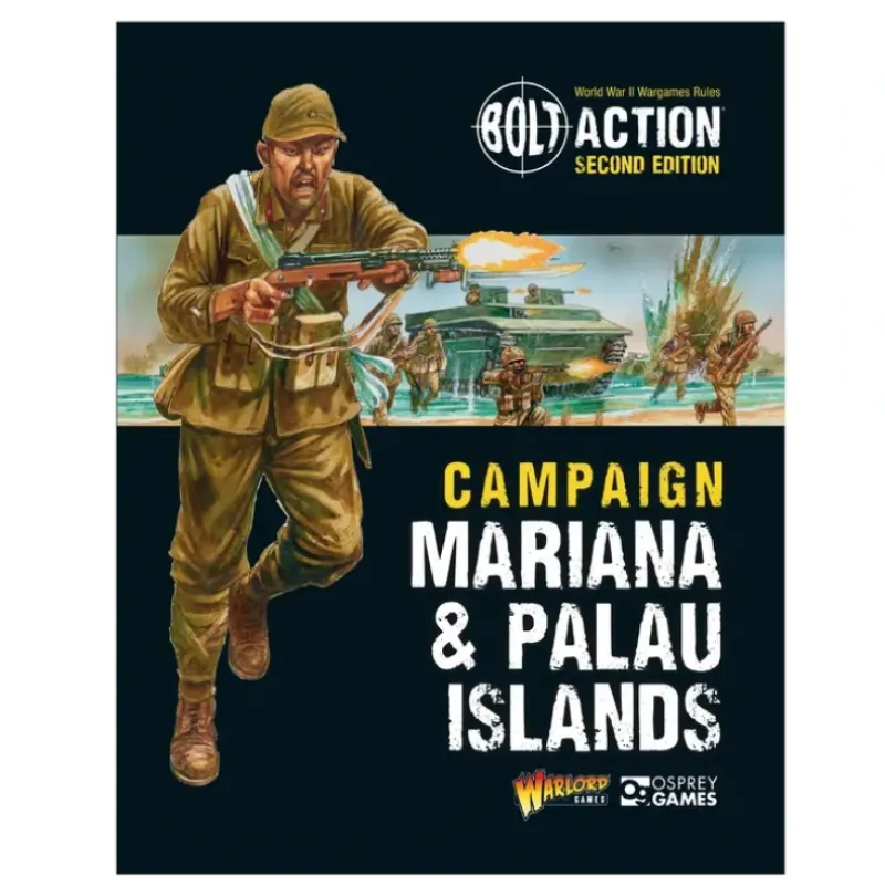Shop All*Bolt Action: Campaign Mariana & Palau Islands - Miniature Marvels: Airplane Models & Painted Dice