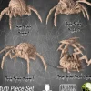 Shop All*Brain Spider - Miniature Marvels: Airplane Models & Painted Dice