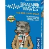 Shop All*Brainwaves: The Brilliant Boar TAK 690823 - Miniature Marvels: Airplane Models & Painted Dice