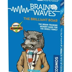 Shop All*Brainwaves: The Brilliant Boar TAK 690823 - Miniature Marvels: Airplane Models & Painted Dice