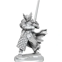 Miniature<D&D Frameworks: W01 - Dragonborn Paladin Male WZK 75022 - Miniature Marvels: Airplane Models & Painted Dice