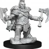 Miniature<D&D Frameworks: W01 - Dwarf Barbarian Female WZK 75031 - Miniature Marvels: Airplane Models & Painted Dice