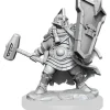 Miniature*D&D Frameworks: W01 - Dwarf Cleric Female WZK 75010 - Miniature Marvels: Airplane Models & Painted Dice
