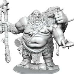 Miniature<D&D Frameworks: W01 - Hill Giant WZK 75049 - Miniature Marvels: Airplane Models & Painted Dice