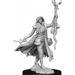 Miniature<D&D Frameworks: W01 - Human Druid Female WZK 75012 - Miniature Marvels: Airplane Models & Painted Dice