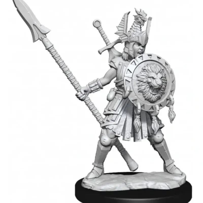 Miniature<D&D Frameworks: W01 - Human Fighter Female WZK 75025 - Miniature Marvels: Airplane Models & Painted Dice
