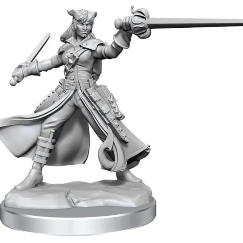 Miniature<D&D Frameworks: W01 - Tiefling Rogue Female WZK 75020 - Miniature Marvels: Airplane Models & Painted Dice