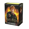 Shop All*Dragon Shield: Matte Art (100) - Harry Potter Wizarding World - Ron Weasley ATM 16021 - Miniature Marvels: Airplane Models & Painted Dice