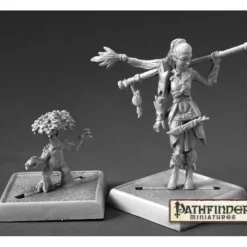 Miniature<Druid And Familiar: Pathfinder RPR 60147 - Miniature Marvels: Airplane Models & Painted Dice