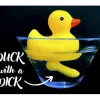 Egpull<DUCK WITH A DICK - Really? What WTF???????? - Miniature Marvels: Airplane Models & Painted Dice