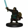 Miniature<Dwarf Paladin Female: Premium Figures - D&D Icons of the Realms WZK 93027 - Miniature Marvels: Airplane Models & Painted Dice