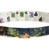 Shop All*5E Wild Beyond Witchlight: DM Screen - Miniature Marvels: Airplane Models & Painted Dice