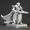 Miniature<Ellithin Graysteel, Royal Elf Hero: Warlord RPR 14468 - Miniature Marvels: Airplane Models & Painted Dice