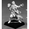 Miniature<Erasmus, Iconic Medium: Pathfinder RPR 60201 - Miniature Marvels: Airplane Models & Painted Dice
