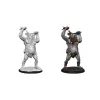 Miniature<Ettin: D&D Nolzur's Marvelous Miniatures WZK 90214 - Miniature Marvels: Airplane Models & Painted Dice