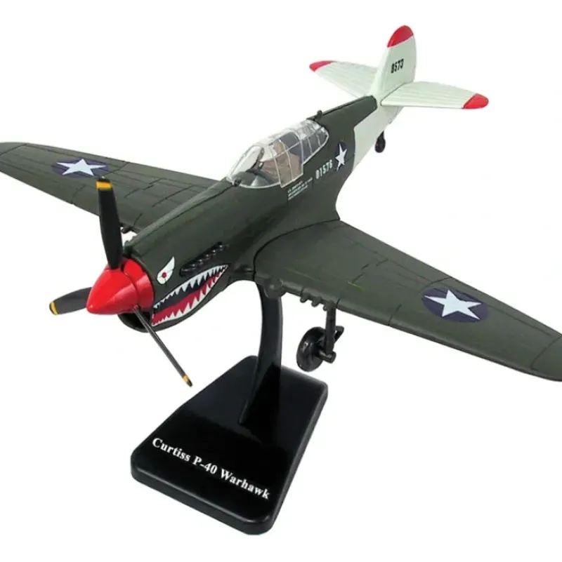 Airplane Model*EZ Build Model Kit P-40 Warhawk INEZP40 - Miniature Marvels: Airplane Models & Painted Dice