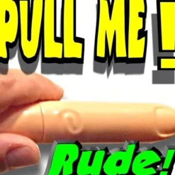 Egpull<FART FINGER PEN - Pull my Finger - Farting Machine GaG Prank Joke Child Toy Gift - Miniature Marvels: Airplane Models & Painted Dice