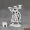 Miniature<Fruella, Dreadmere Mercenary: Dark Heaven Legends RPR 03872 - Miniature Marvels: Airplane Models & Painted Dice