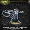 Miniature<Fyanna, Torment of Everblight: Legion of Everblight - Warlock PIP 73106 - Miniature Marvels: Airplane Models & Painted Dice
