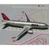 Airplane Model*Gemini Jets G2NWA080 1:200 Northwest Airlines Airbus A320 - Miniature Marvels: Airplane Models & Painted Dice
