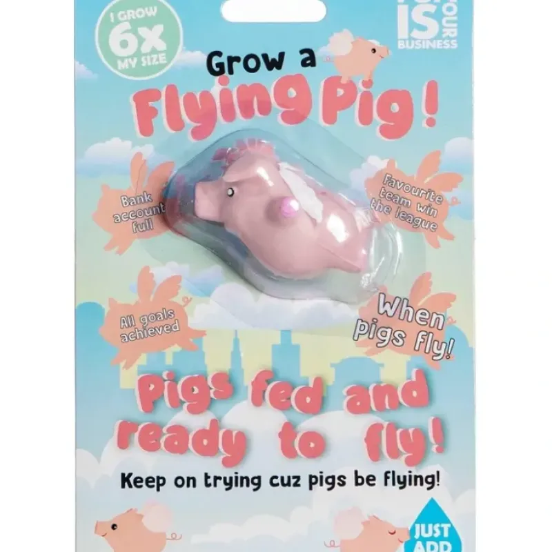 Egpull<Grow A Pig Toy - Just Add Water 600% Larger! Piggy Child Stocking Stuffer - Miniature Marvels: Airplane Models & Painted Dice