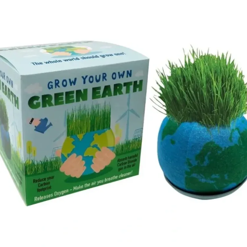 Egpull<Grow Your Own Green Earth - Just add Water and watch it grow Fun Child Learning - Miniature Marvels: Airplane Models & Painted Dice