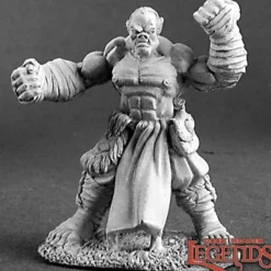 Miniature<Gungor, Half-Orc Monk: Dark Heaven Legends RPR 02926 - Miniature Marvels: Airplane Models & Painted Dice