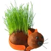 Egpull<HAIRY PUSSY CAT - Grow Your Chia Pet Plant - Fun Adult Gag Prank Joke Gift - Miniature Marvels: Airplane Models & Painted Dice