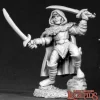 Miniature<Half Elf Thief: Dark Heaven Legends RPR 02618 - Miniature Marvels: Airplane Models & Painted Dice