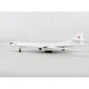 Airplane Model**Herpa Wings 1:200 Soviet Air Force TU-160 - Miniature Marvels: Airplane Models & Painted Dice