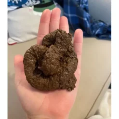 Egpull<HIGH QUALITY Fake Dog Poop Poo Realistic Doggy Doo Doo Dirt Joke Gag Crap Pile - Miniature Marvels: Airplane Models & Painted Dice