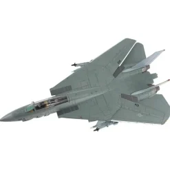 Airplane Model*Hobby Master HA5255 1:72 Grumman F-14A Tomcat "Fist of the Fleet" 160685, US Navy - Miniature Marvels: Airplane Models & Painted Dice