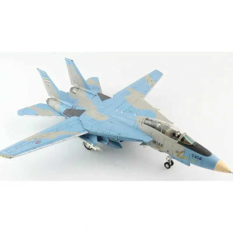 Airplane Model*Hobby Master HA5235 1:72 Grumman F-14A Tomcat - Miniature Marvels: Airplane Models & Painted Dice