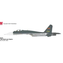 Airplane Model*Hobby Master HA6016 1:72 J-11BG Multi-Role Fighter - Miniature Marvels: Airplane Models & Painted Dice