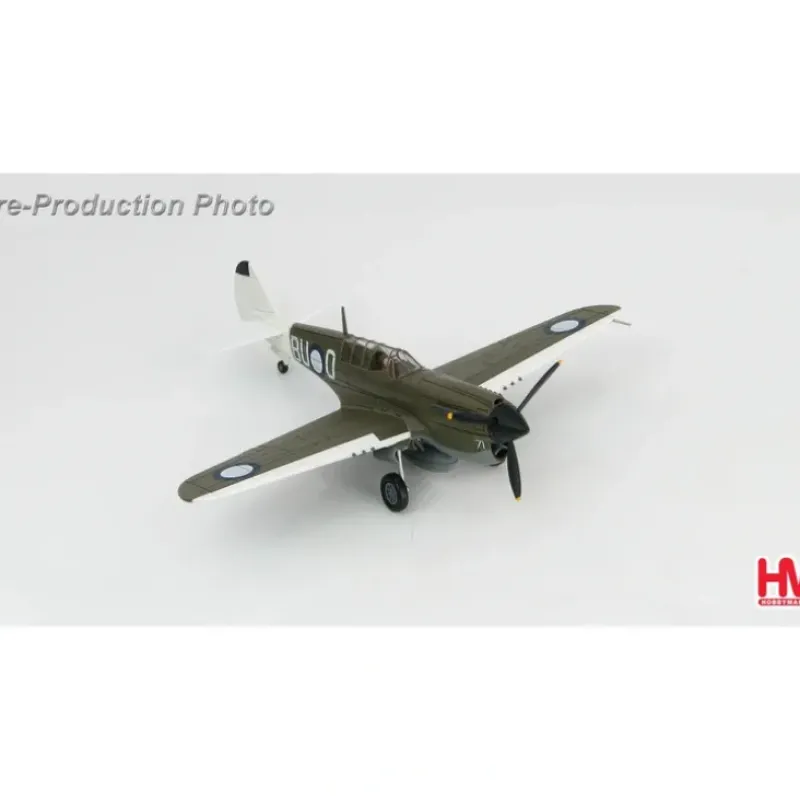 Airplane Model*Hobby Master HA5505 1:72 P-40N "Angry Bee" - Miniature Marvels: Airplane Models & Painted Dice