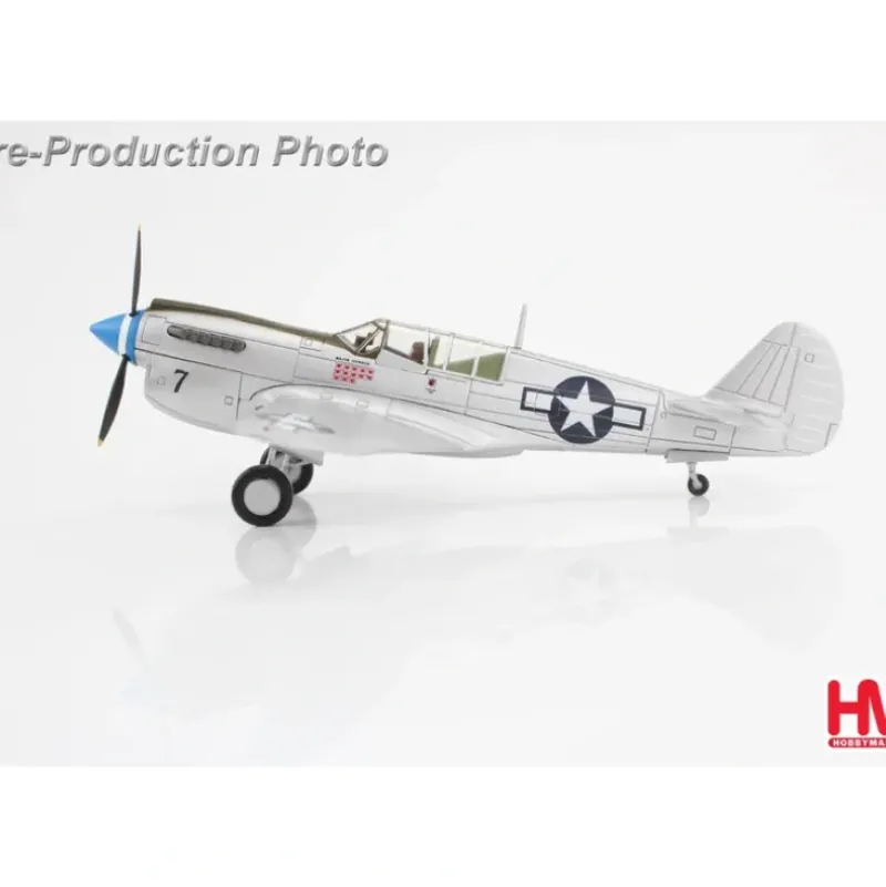 Airplane Model*Hobby Master HA5510 1:72 P-40N Warhawk Major Gerald Johnson, 49th Fighter Group, Philippines, Oct 1944 - Miniature Marvels: Airplane Models & Painted Dice
