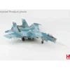 Airplane Model*Hobby Master HA6011 1:72 Su-27SM "Flanker B" Russian Air Force - Miniature Marvels: Airplane Models & Painted Dice