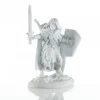 Miniature<Human Fighter, Aeowyn: Dark Heaven Legends RPR 04017 - Miniature Marvels: Airplane Models & Painted Dice