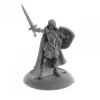 Miniature<Human Paladin, Caerindra: Dark Heaven Legends RPR 04070 - Miniature Marvels: Airplane Models & Painted Dice