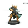 Miniature<Infinity: Yu Jing - Hsien Warrirors (Multi Rifle) CVB 280389-0623 - Miniature Marvels: Airplane Models & Painted Dice